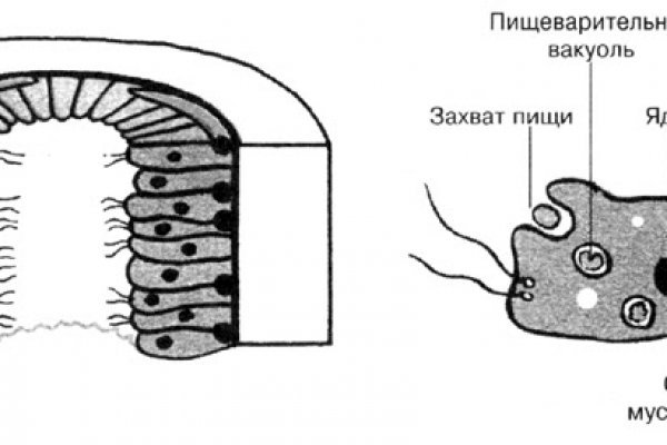 Кракен шеринг