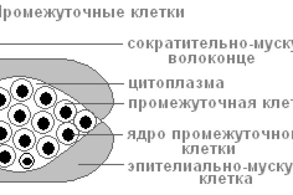 Kraken ссылка для тору