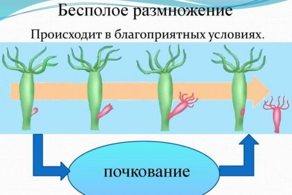 Как восстановить кракен